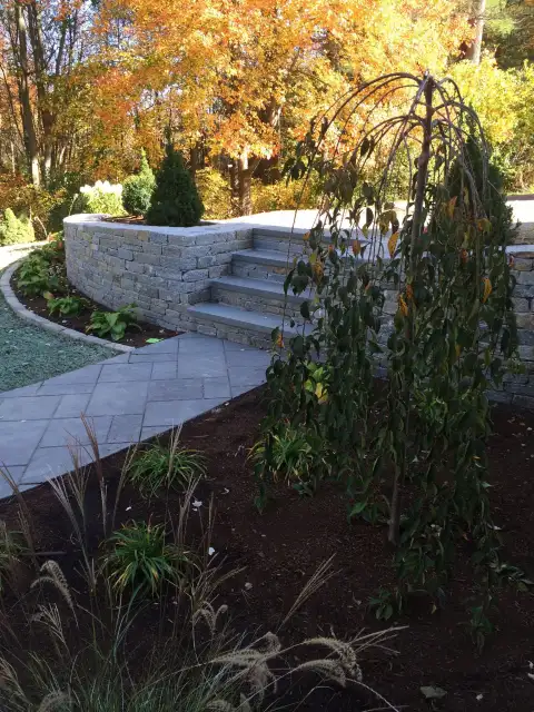Stone steps and plantings