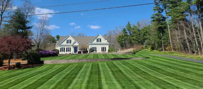 Striped lawn in front of a home